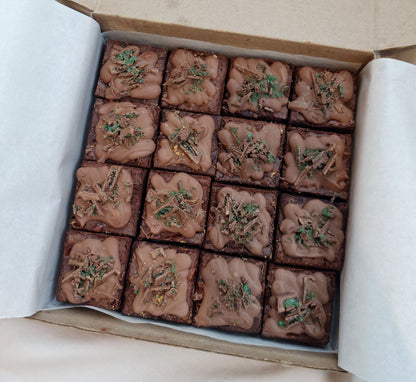 Peppermint Tart Brownies